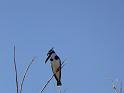 2014-07-25 11-02-34